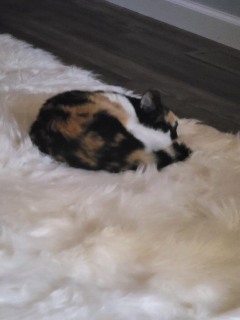 I bought 8x10 size for my apartment living room which is 11x11 i will say. And the carpet is just perfect.,As i wanted to be. I love it!!! And i get a lots of compliments… everyone wants it lol my dog loves it too and it hasn’t pee on it yet!!!