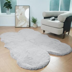 Latepis Grey Accent 4x6 Area Rug Plush