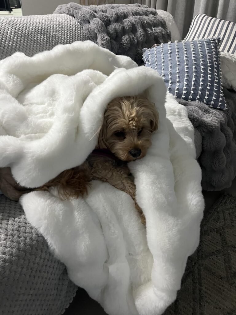 Kimberly A. Mitchell