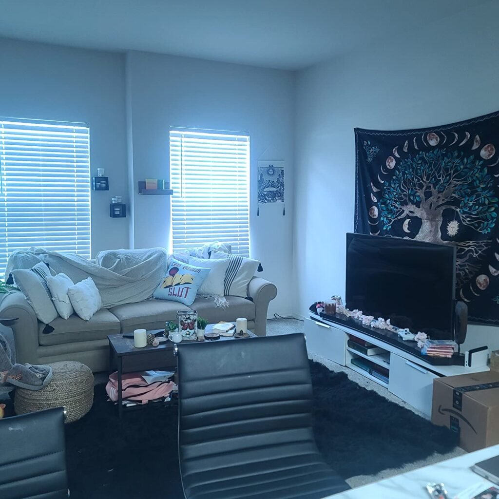 Me encantó la alfombra